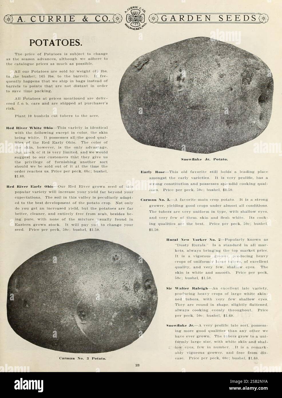 Potato variant hires stock photography and images Alamy