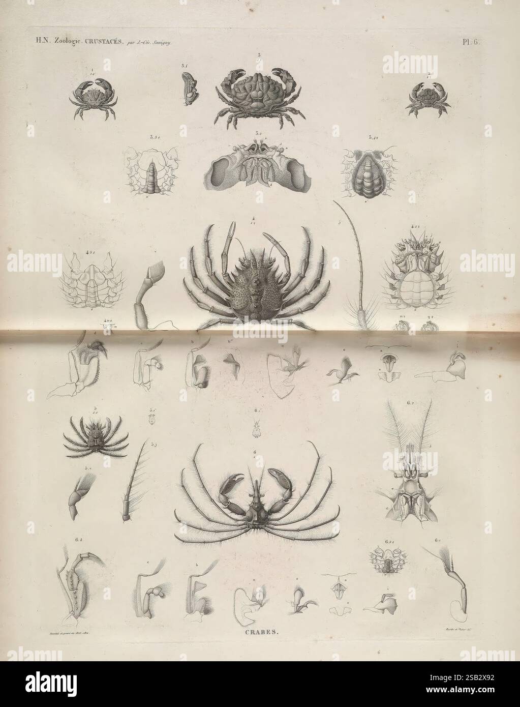 Iconographie des crustacés et des arachnides de l'Égypte, Paris, De l ...