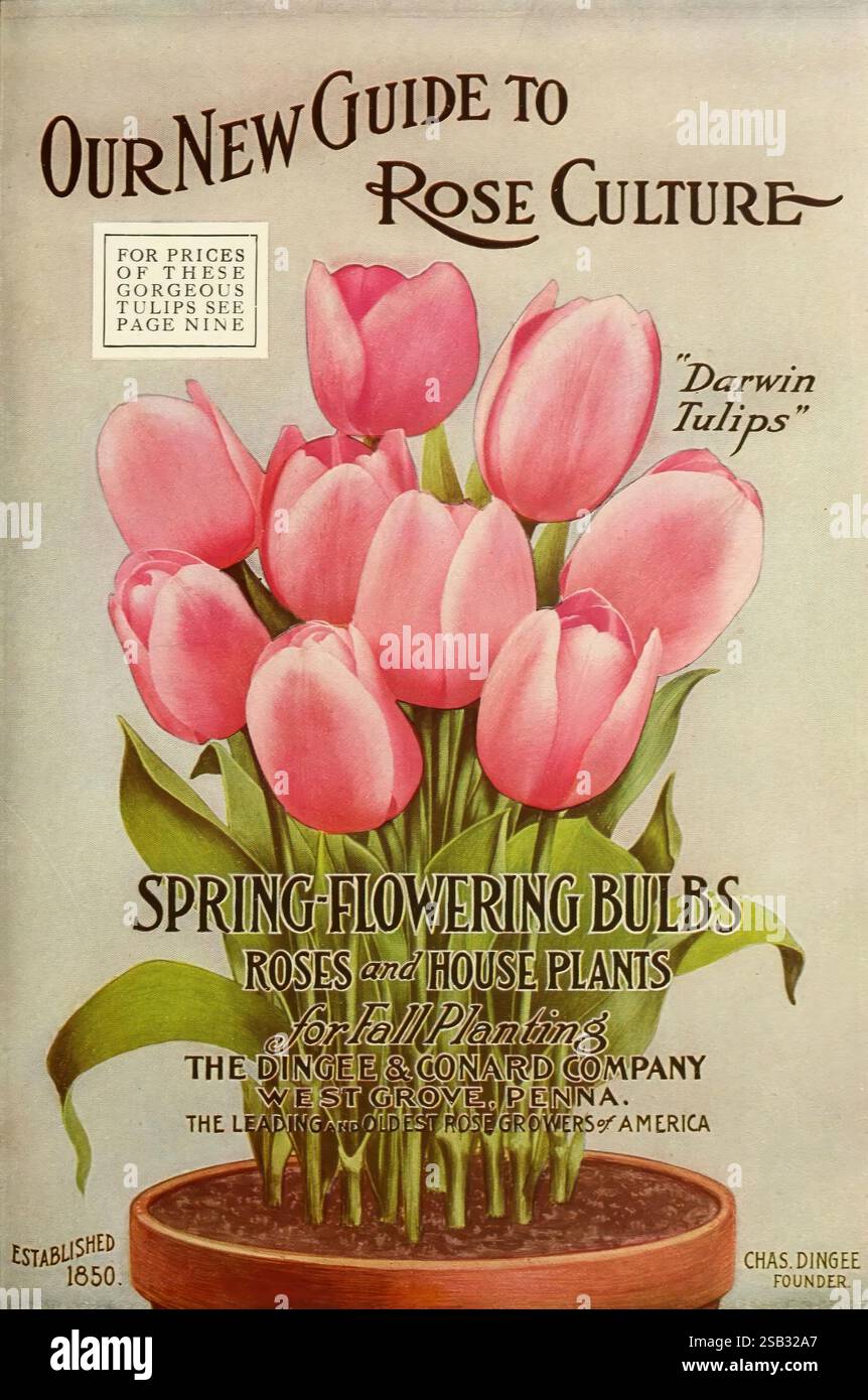 Conard's Spring Floral bouquet features roses hi-res stock photography and images - Alamy