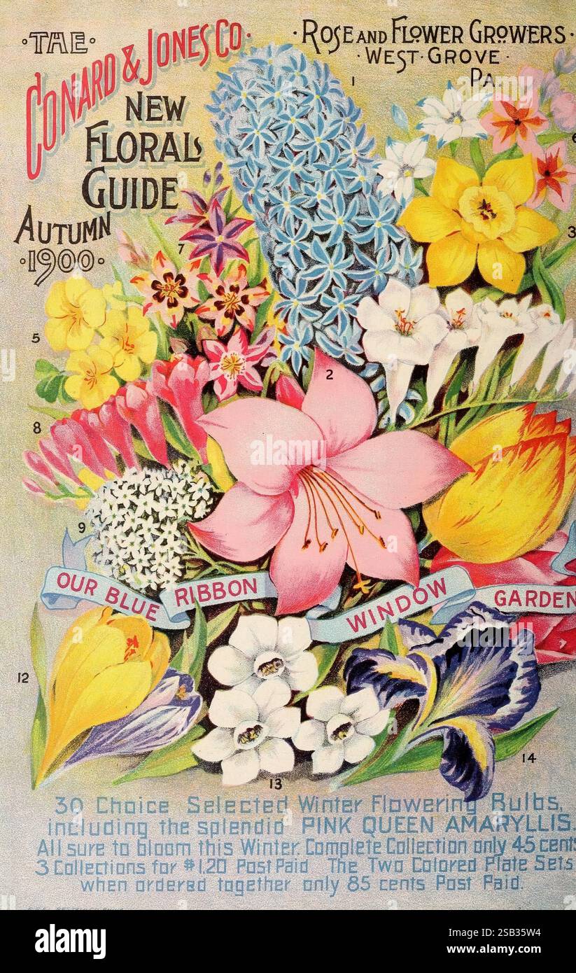 Conard's Spring Arrangement highlights different types of floral hi-res stock ...
