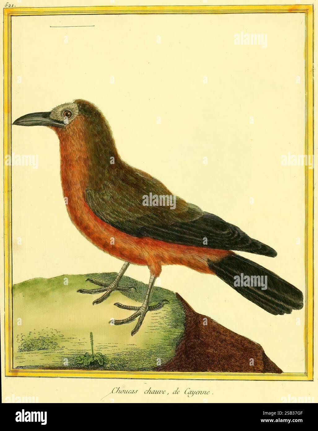 Prominent reddish brown rock hi-res stock photography and images - Alamy