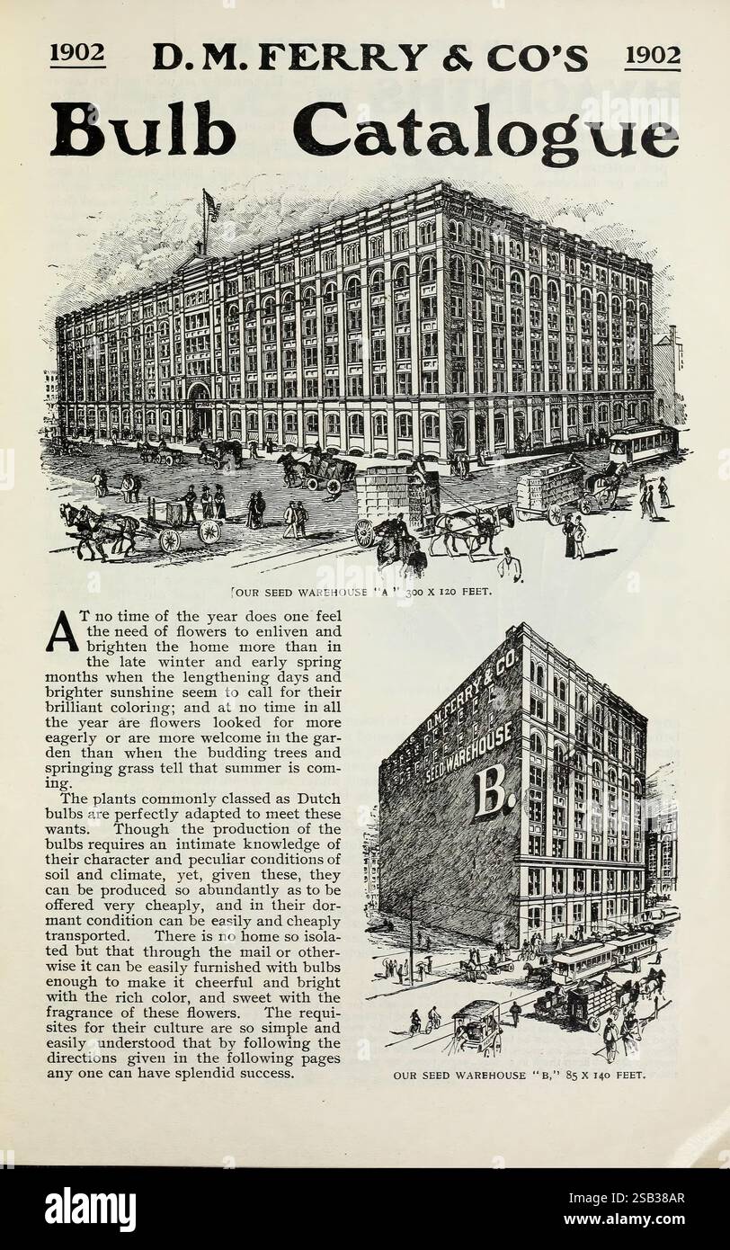 Bulbs and seeds, Detroit, Mich, D.M. Ferry & Co, 1920, vegetables