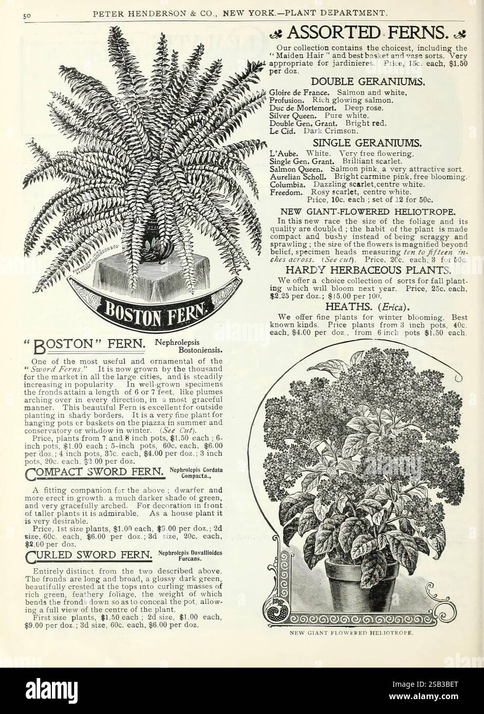 New yorks plant department hires stock photography and images Alamy