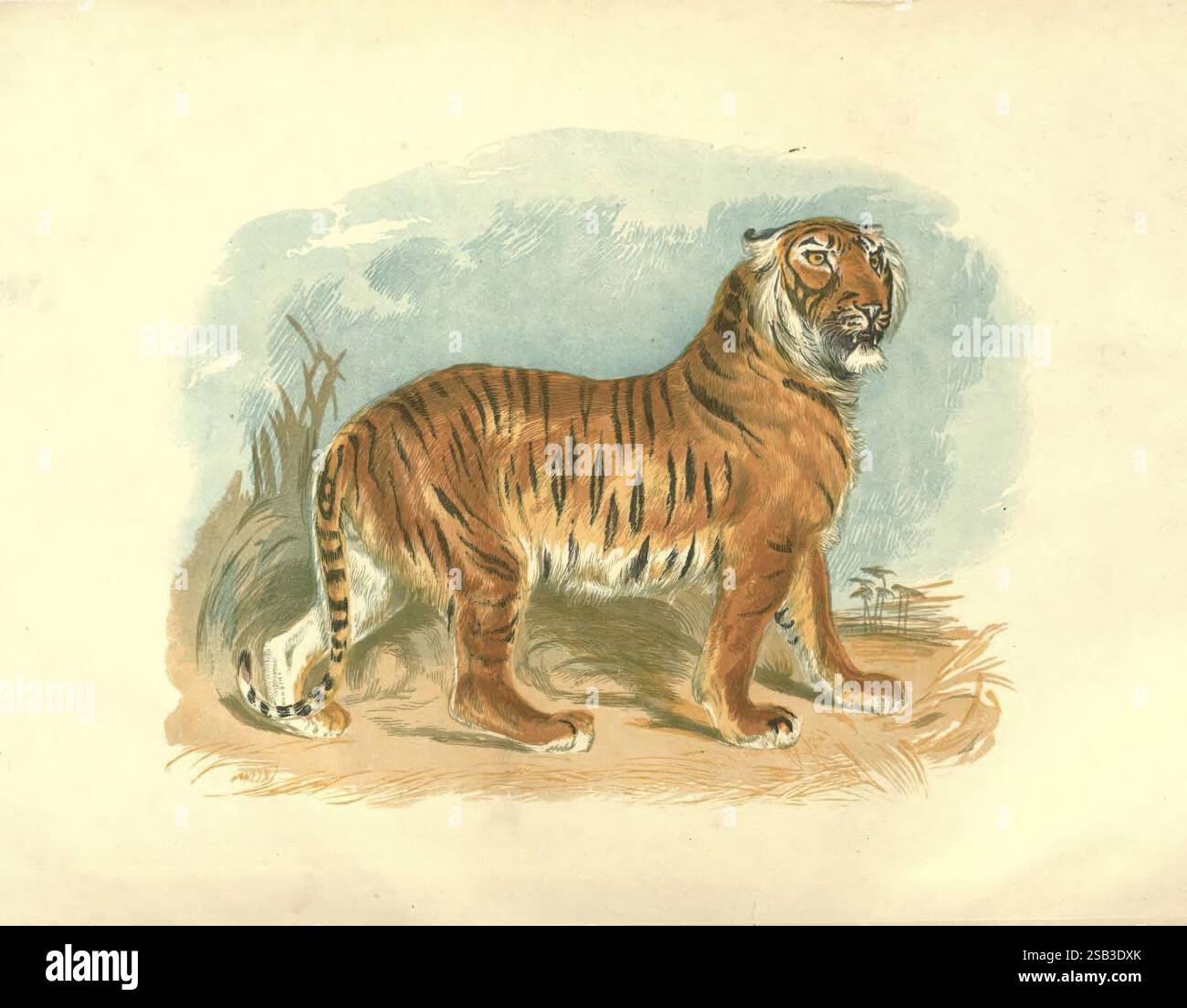 Hints Animted Animated posture convey hi-res stock photography and images - Alamy