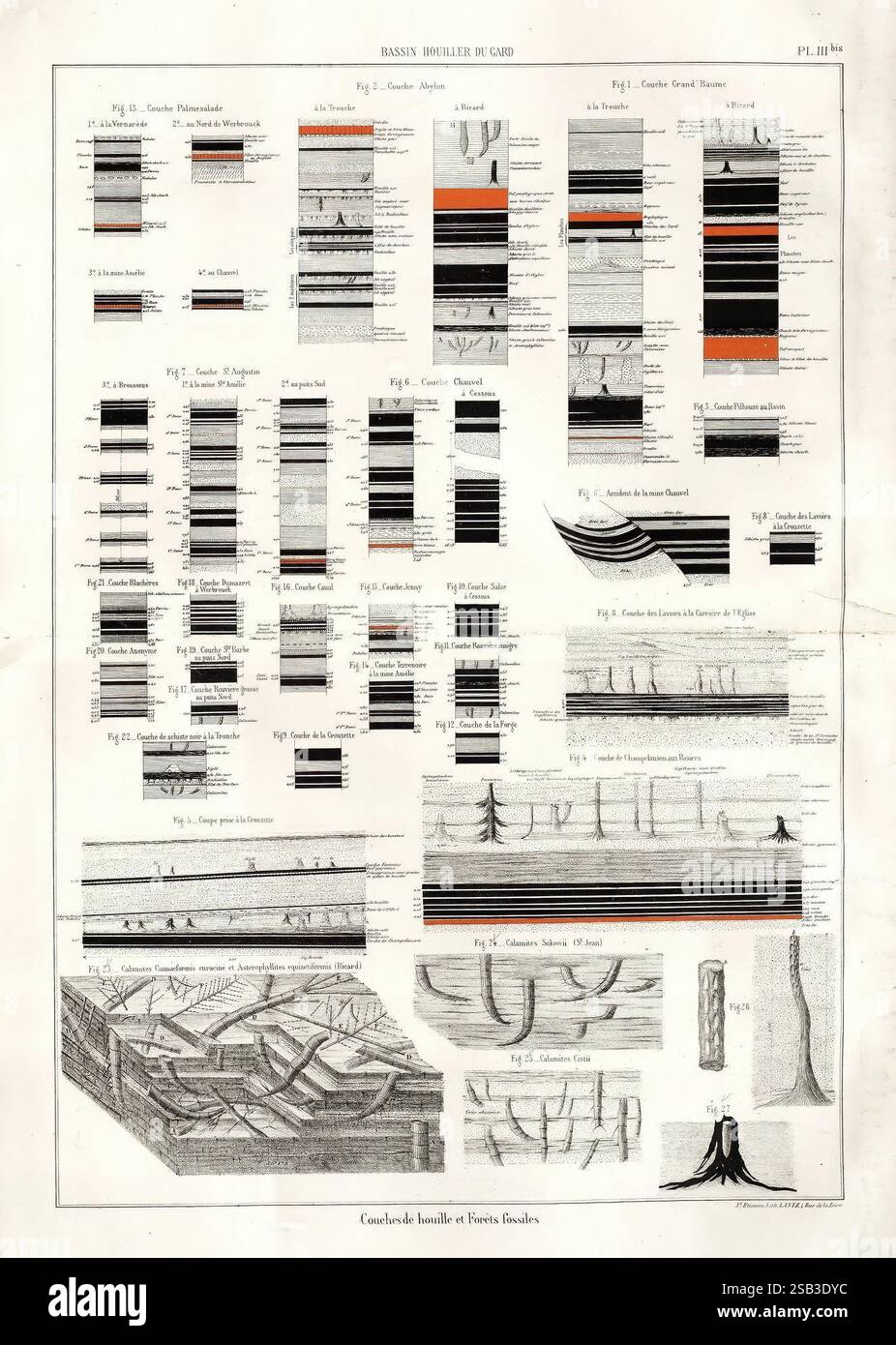 Organized systematically across multiple sections hi-res stock ...