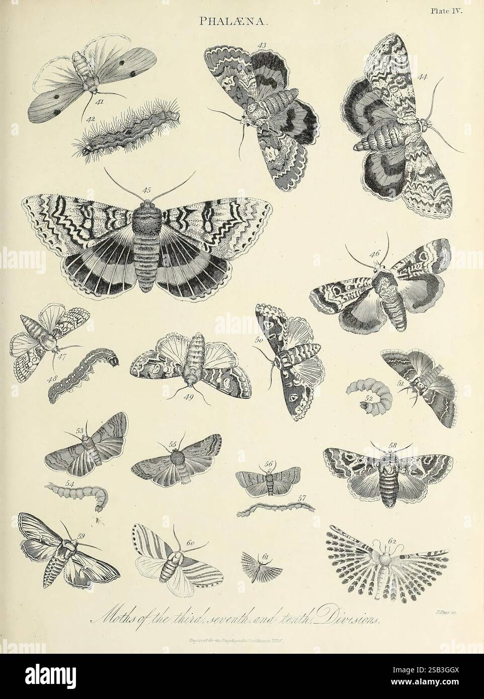 Encyclopaedia londinensis, or Universal dictionary of arts, sciences ...