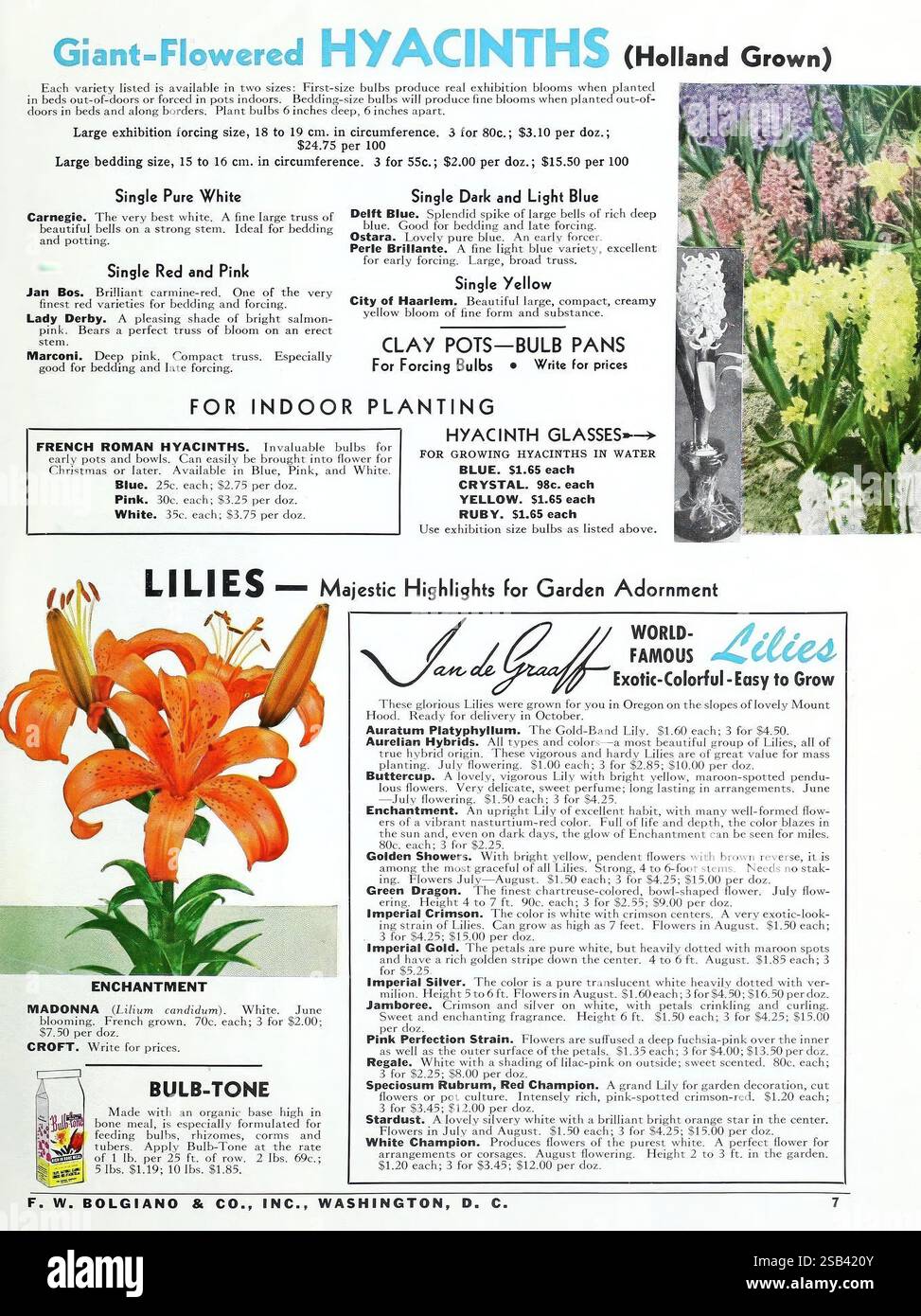 Fall 1966 Washington, D.C. F.W. Bolgiano 1966 trees flower seeds