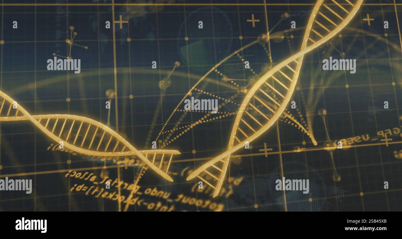 DNA strands and mathematical equations image over scientific grid background Stock Photo