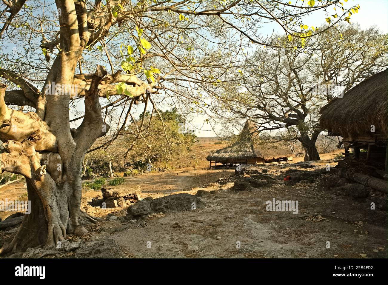 Landscape of traditional village of Prailiang, which is built on a ...