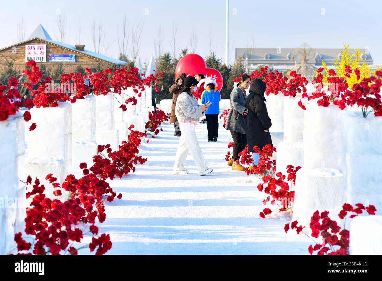 HOHHOT, CHINA - JANUARY 31, 2025 - Tourists walk on the Rose Ice and Snow corridor of the 4th Hohhot Ice and Snow Festival 2025 in Hohhot, Inner Mongo Stock Photo