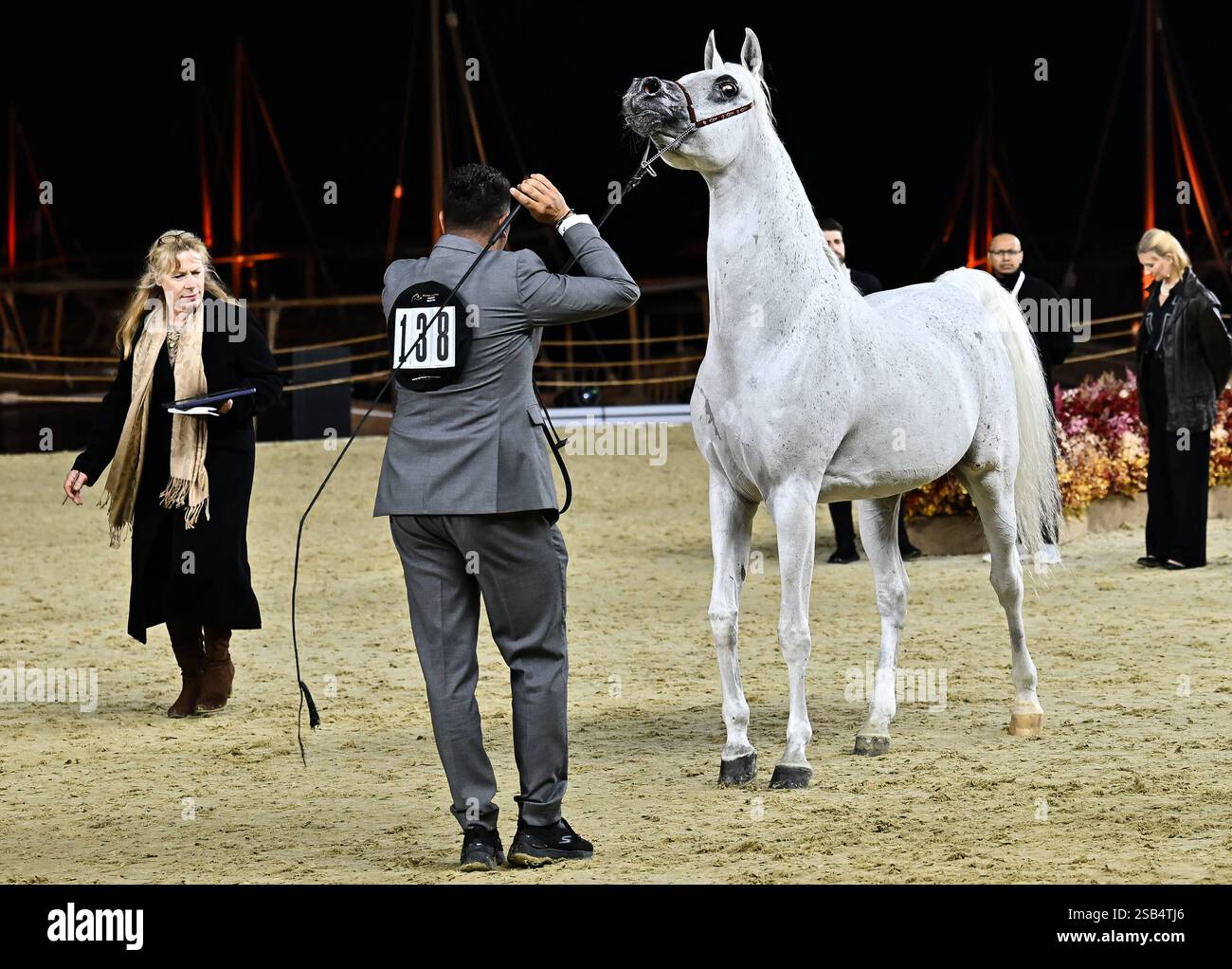 KATARA INTERNATIONAL ARABIAN HORSE FESTIVAL KIAHF 2025 Najdi Al ...
