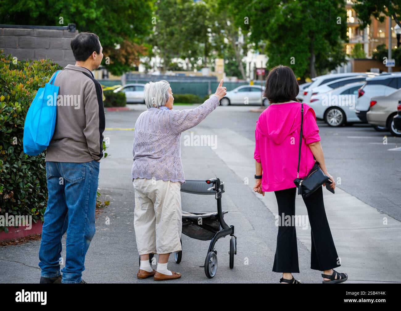 Elderly woman walking using a mobility walker with her adult children ...