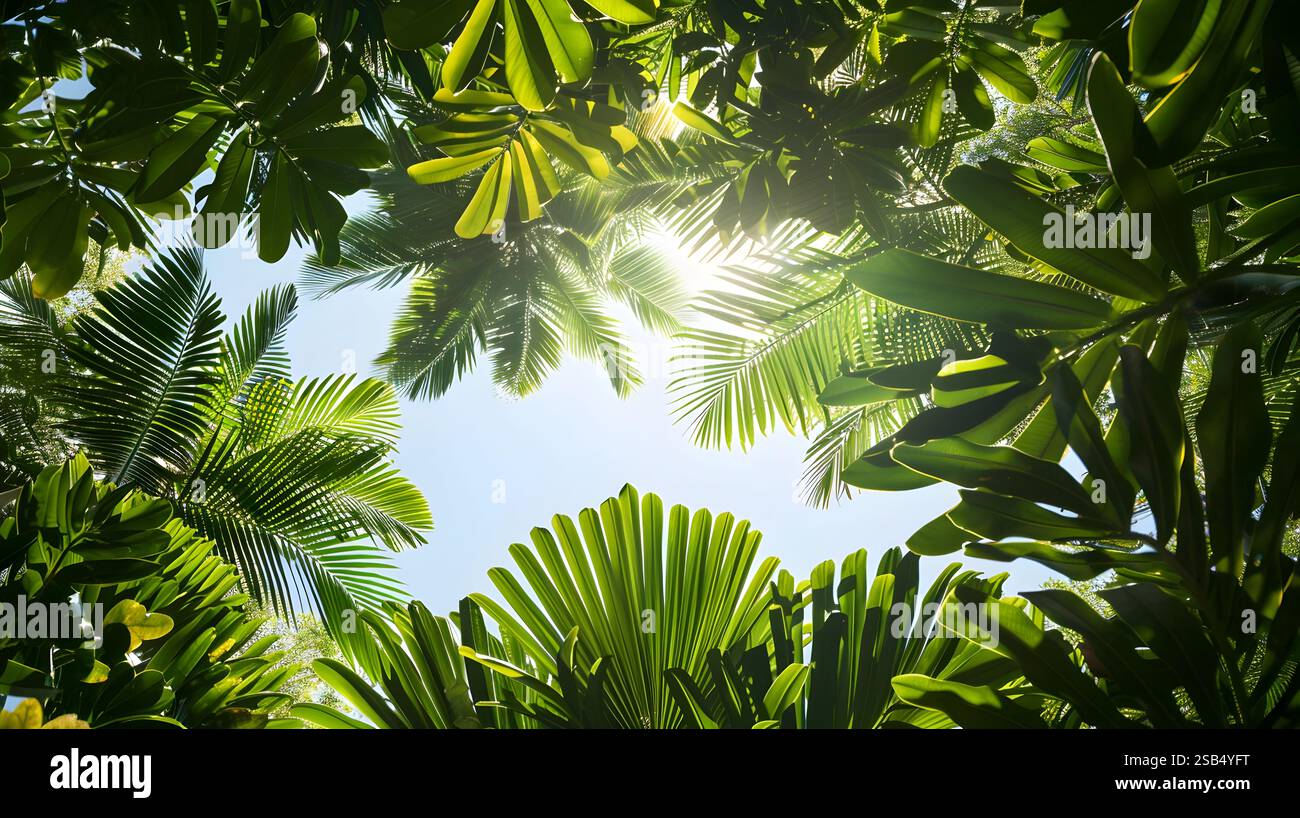 A vibrant tropical canopy showcases a lively dance of light and shadow ...