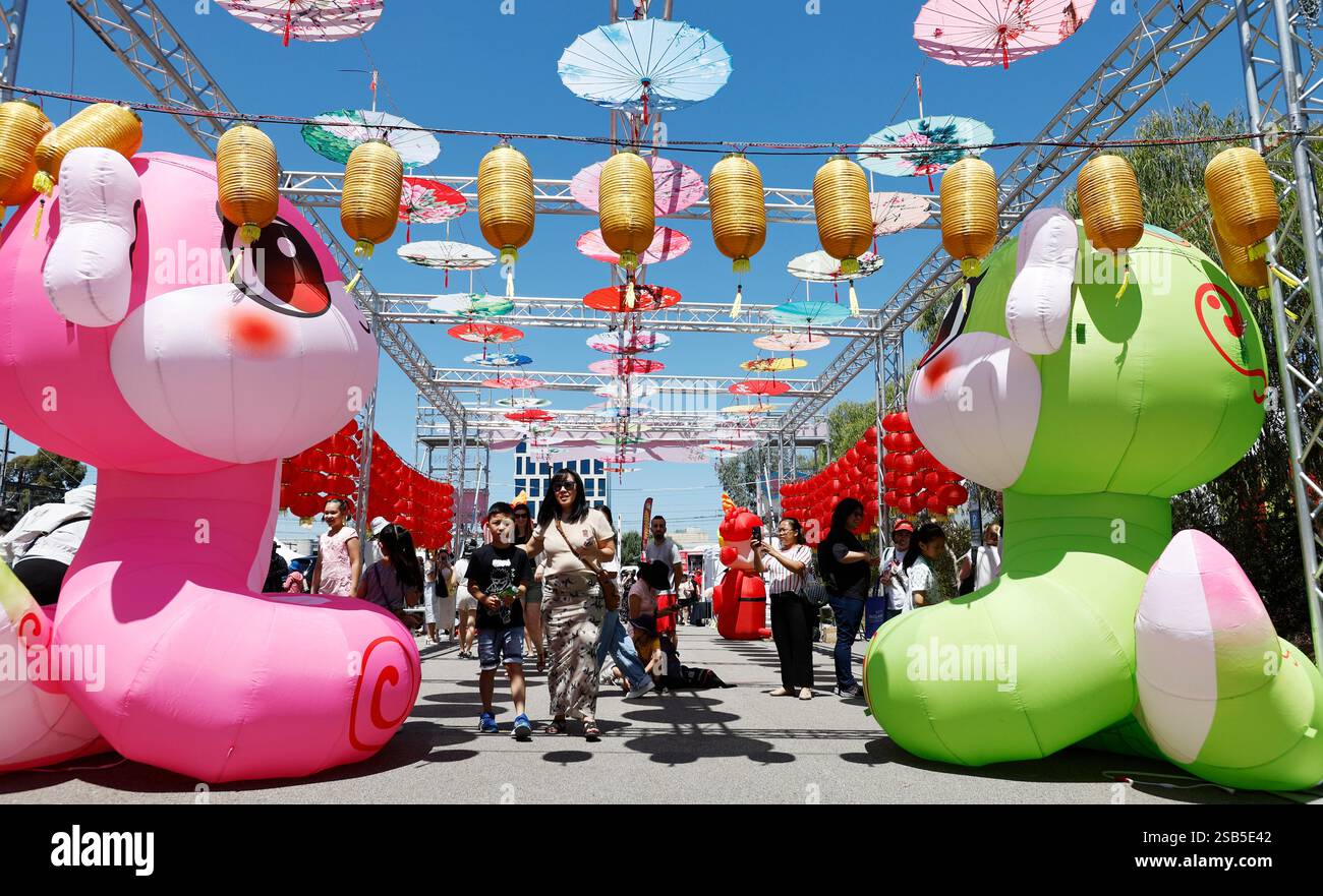 (250201) MELBOURNE, Feb. 1, 2025 (Xinhua) Tourists attend a