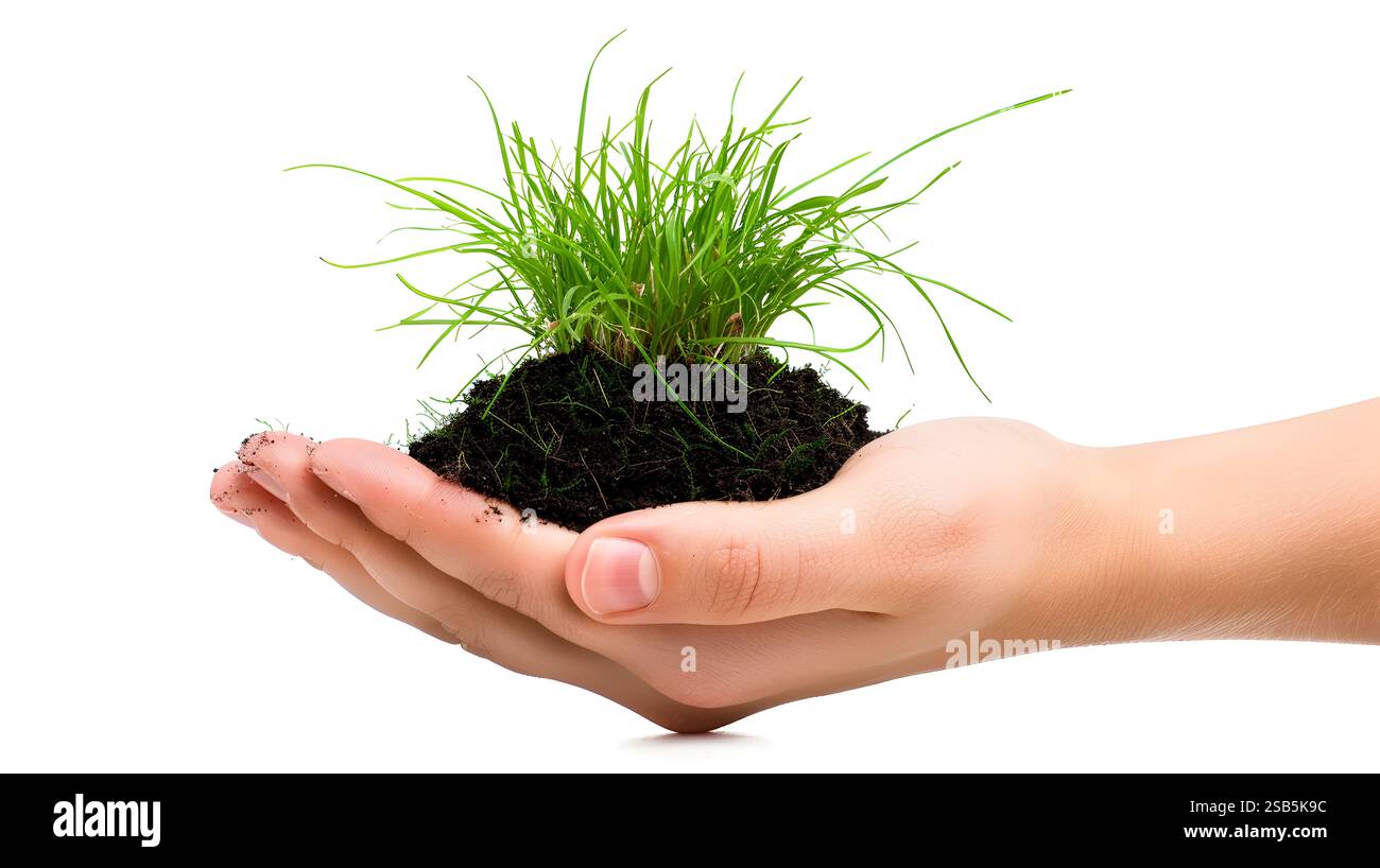 An image that conveys a message of environmental sustainability and eco ...