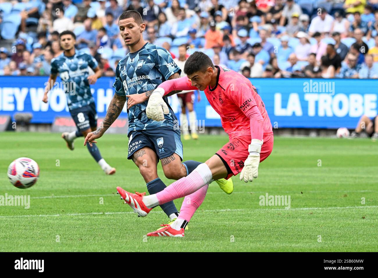 1st February 2025; Allianz Stadium, Sydney, NSW, Australia ALeague