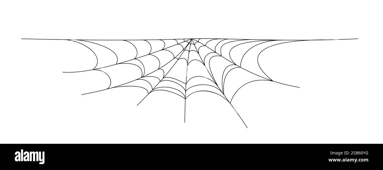 spider web background for hallowen design. spider web line art. Vector ...