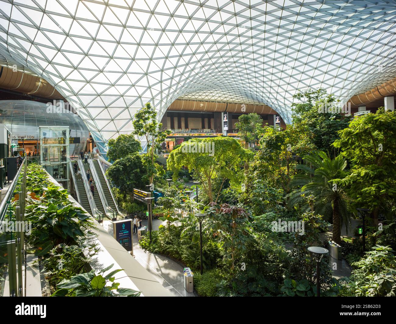 Qatar Hamad International Airport Interior The Orchard, Tropical Indoor ...