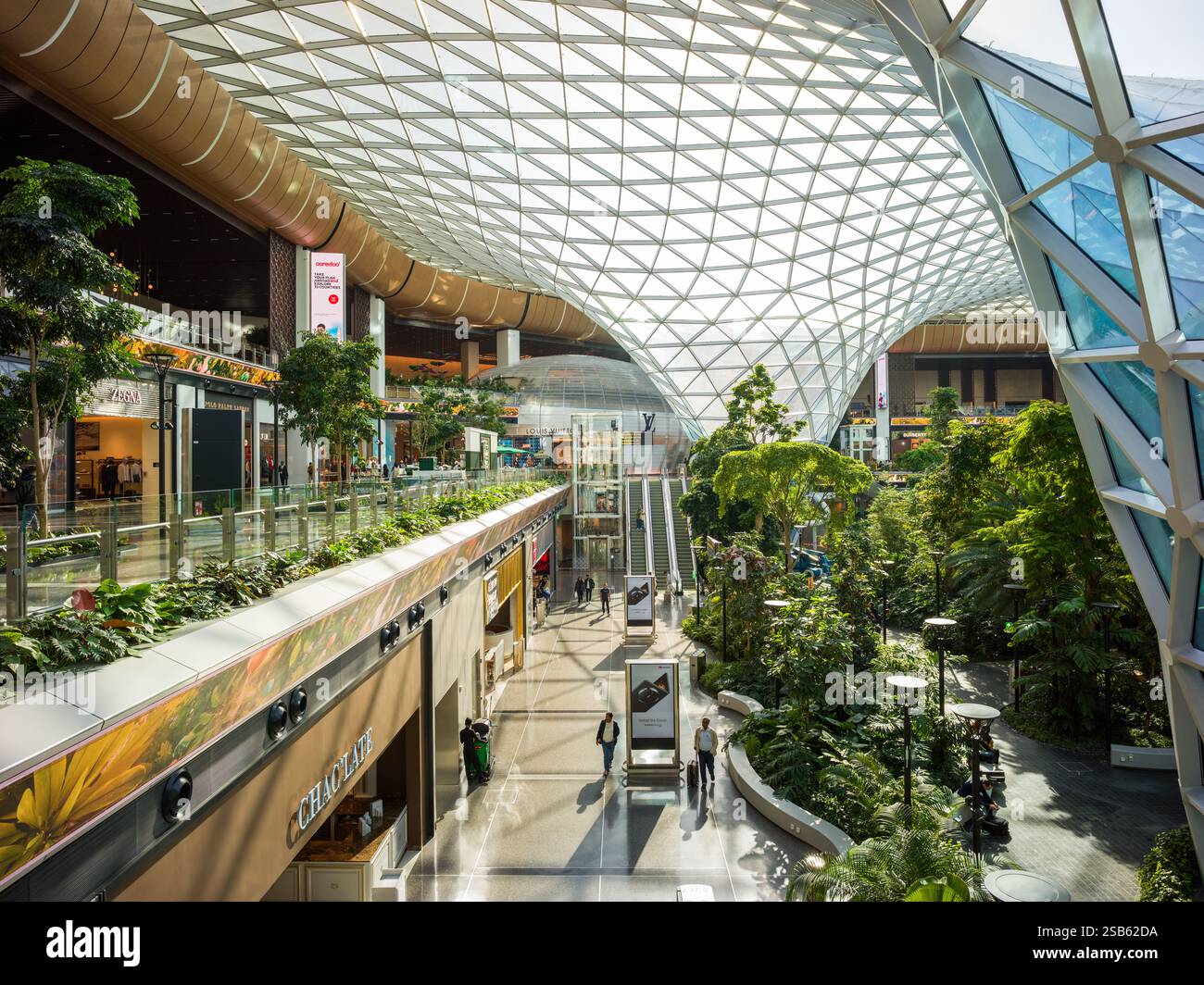 Qatar Hamad International Airport Interior The Orchard, Tropical Indoor ...