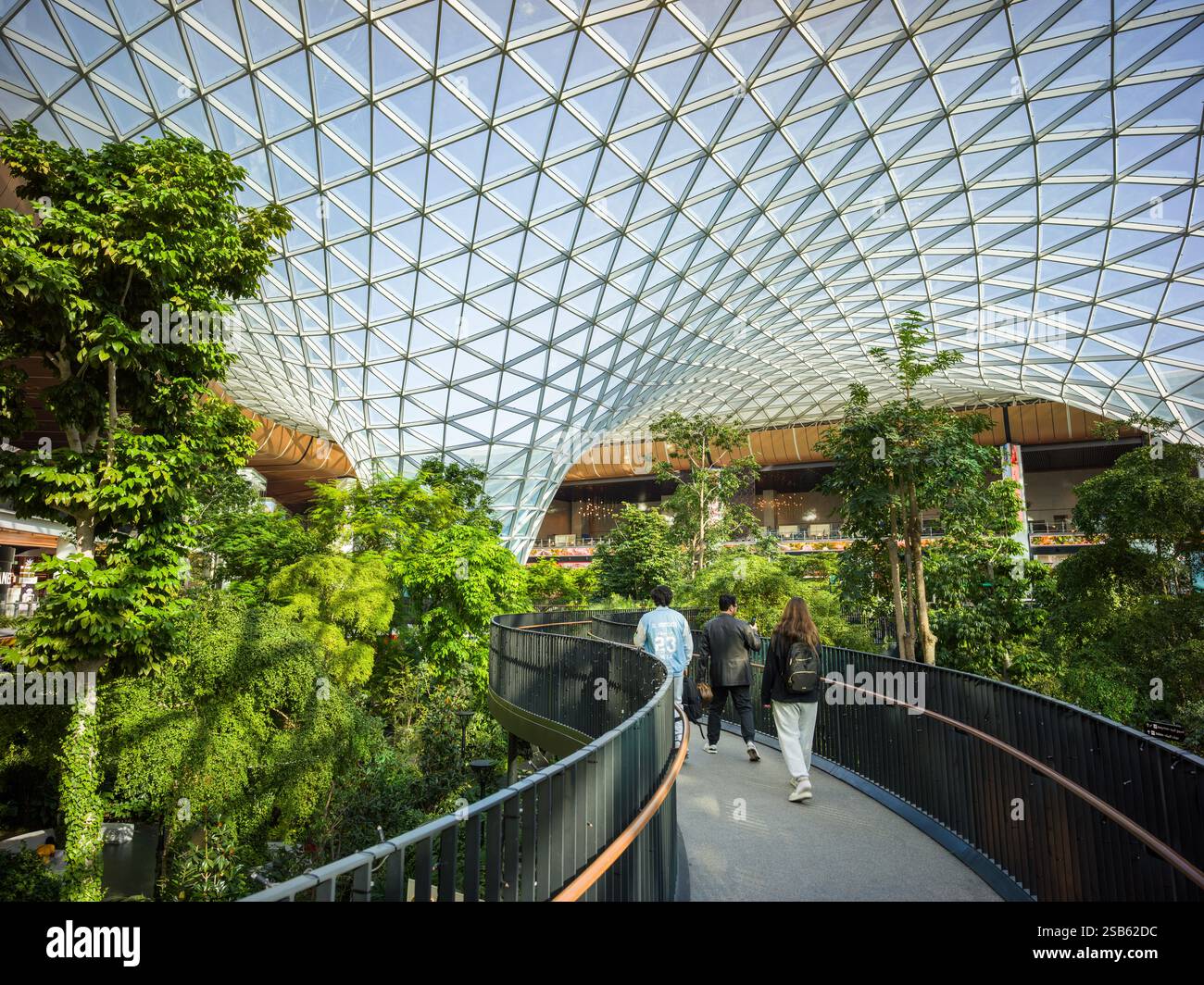 Qatar Hamad International Airport Interior The Orchard, Tropical Indoor ...