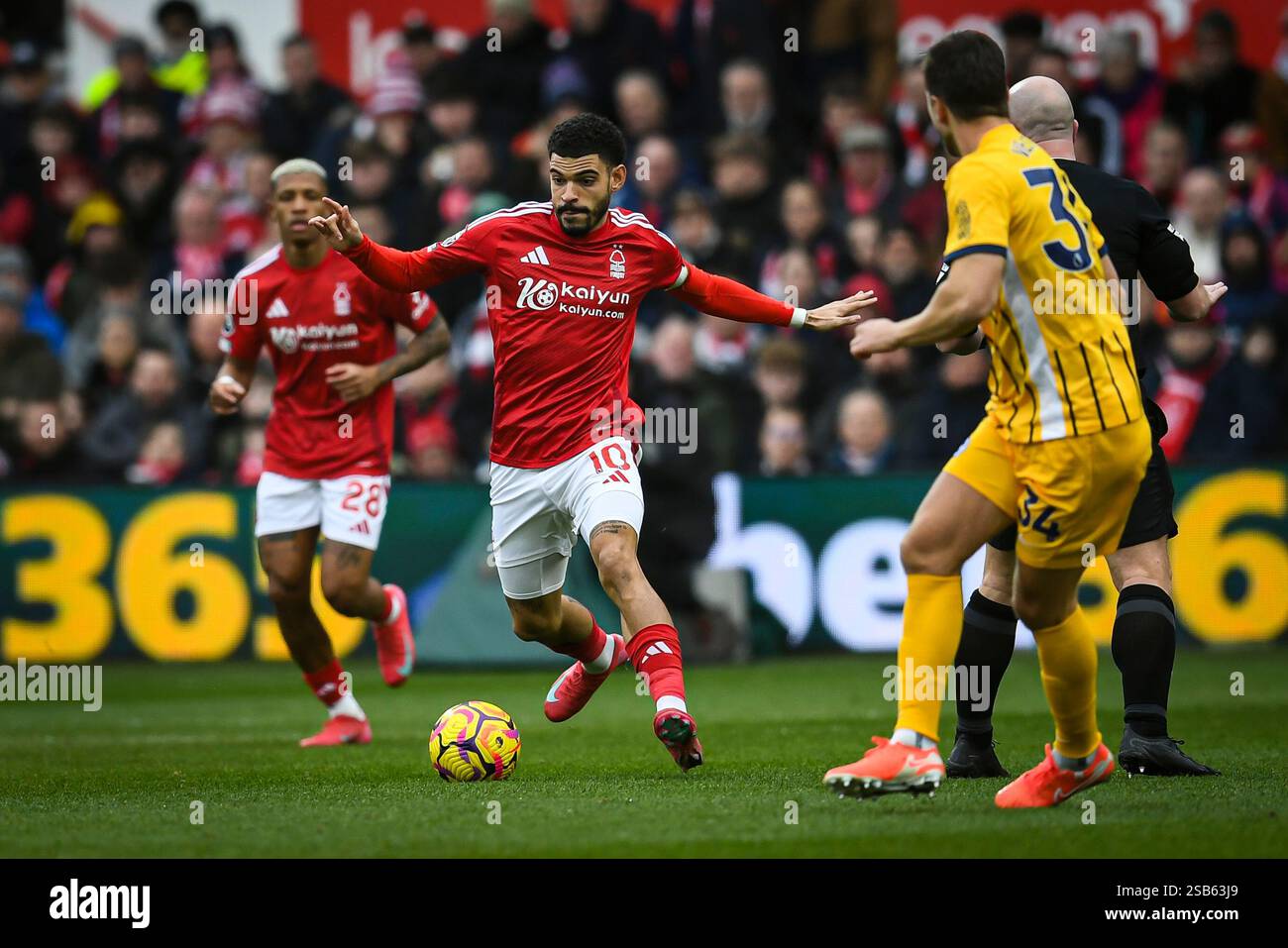 cronaca nottingham forest brighton & hove albion