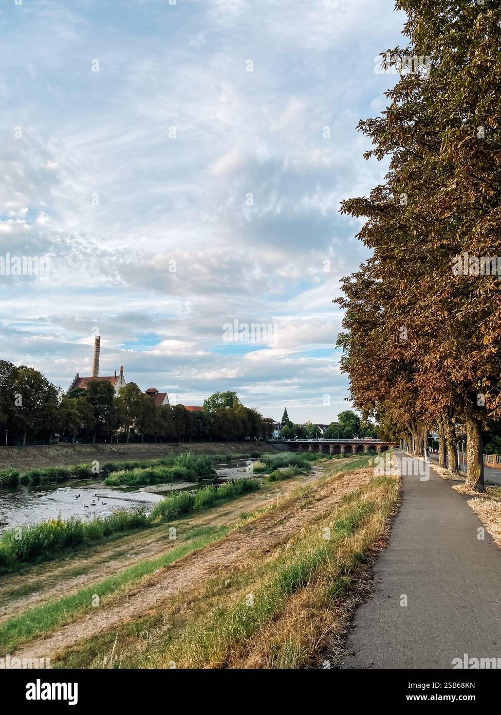 Path runs along a river bank with trees on either side. The sky is ...