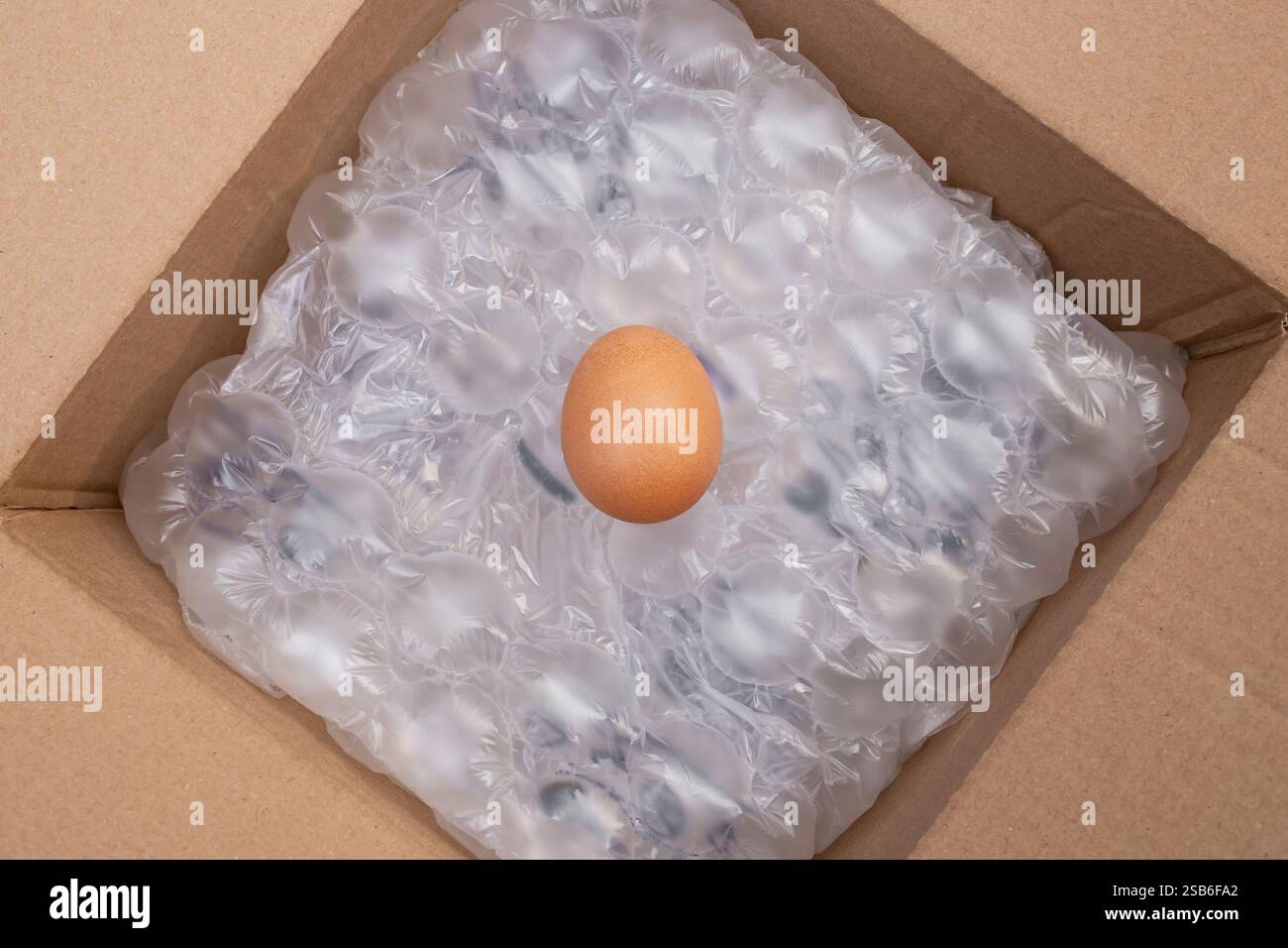 Chicken egg on air cushion bubble wrap background, insidee a cardboard box Stock Photo