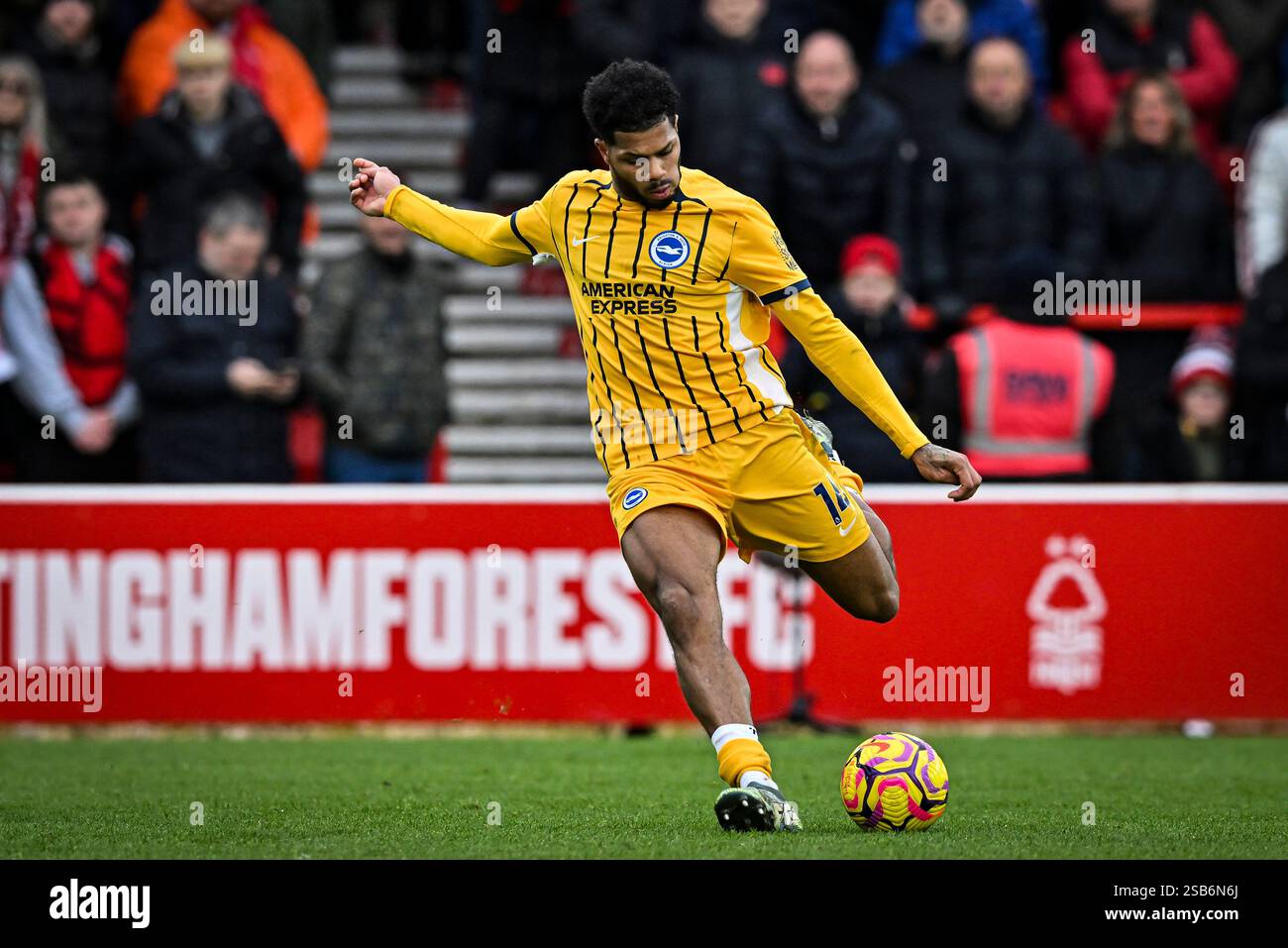 Evan Rutter Football The City Ground, Nottingham, UK. 1st Feb, 2025. Premier League Football ...