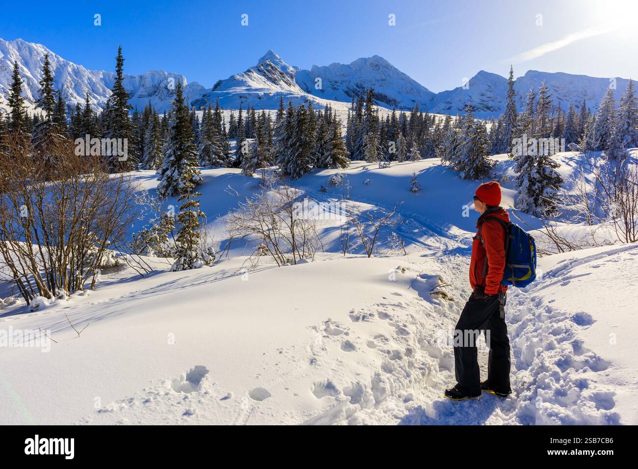 Young woman backpacker on walking trail in Gasienicowa valley during winter time, Tatra Mountains, Poland Stock Photo
