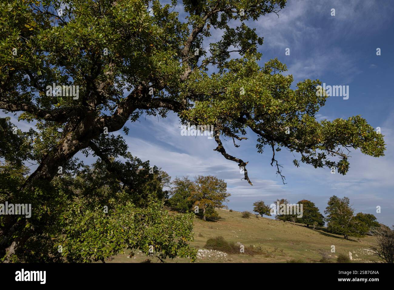 Megalithic Park of Legaire, Campas de Legaire , Álava, Basque Country ...