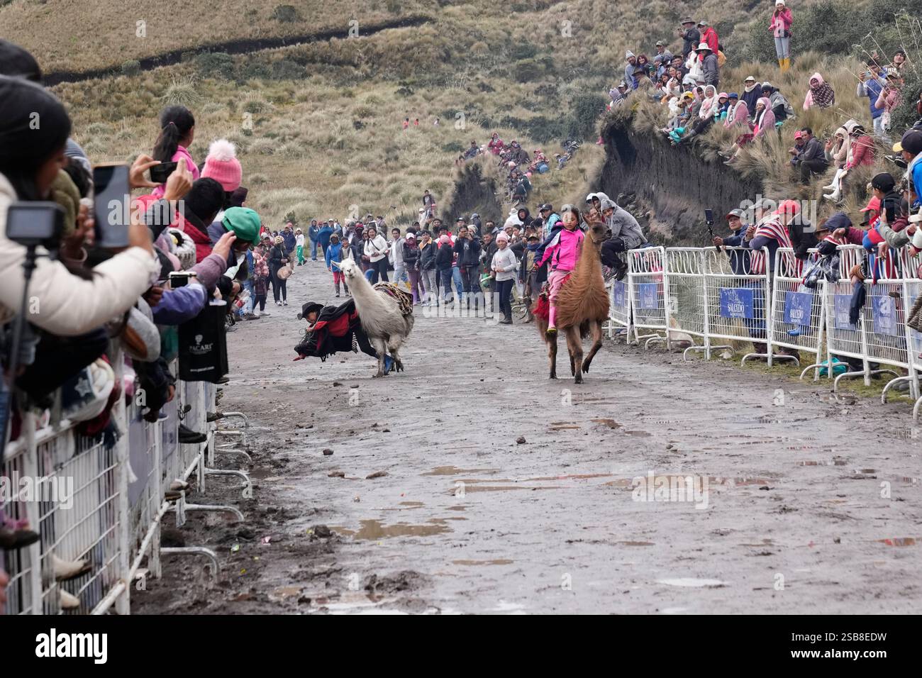 Children compete in the annual llama races that commemorate,