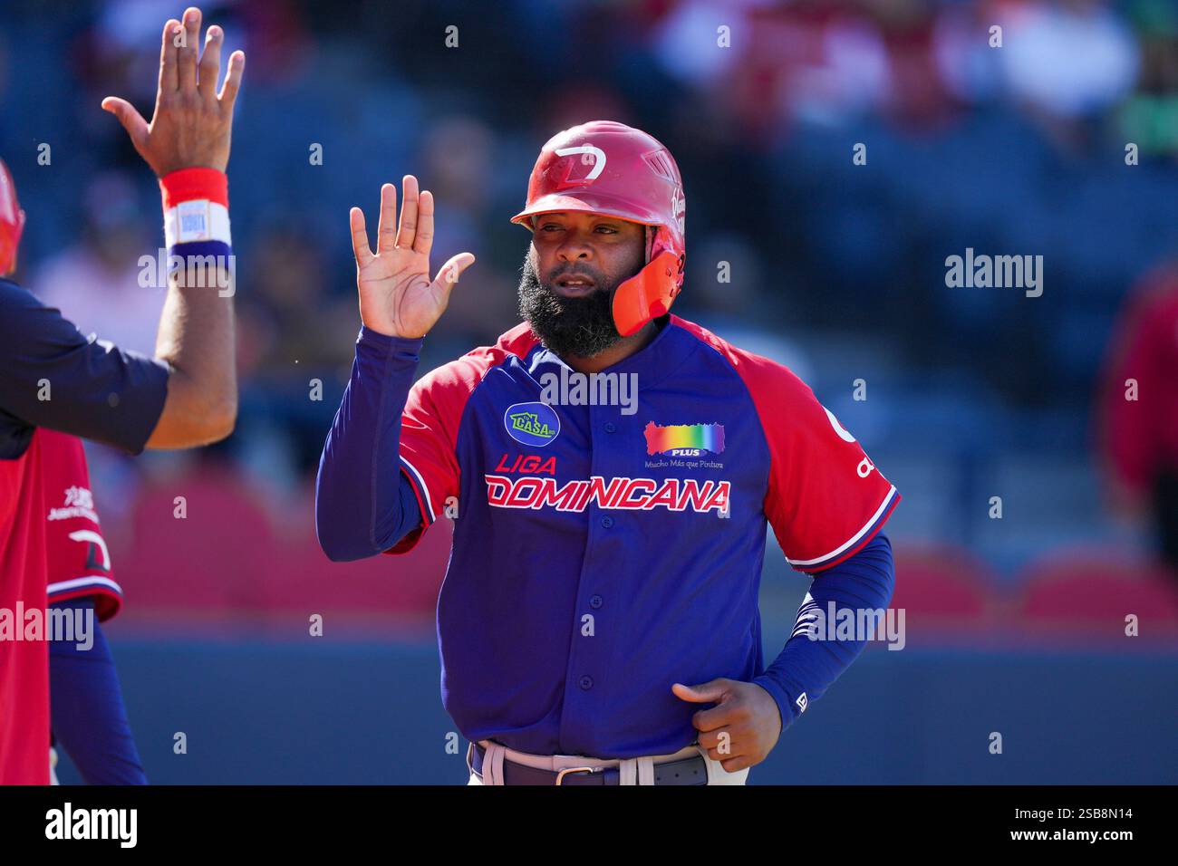 Dominican Republic's Luis Liberato celebrates after scoring a run