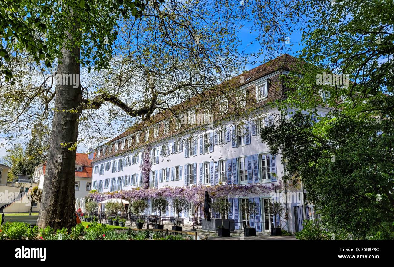 View of the Bad Hotel Uberlingen with flowering wisteria, on a sunny day. A beautiful historic building. Germany, Uberlingen, April 25, 2024. Stock Photo