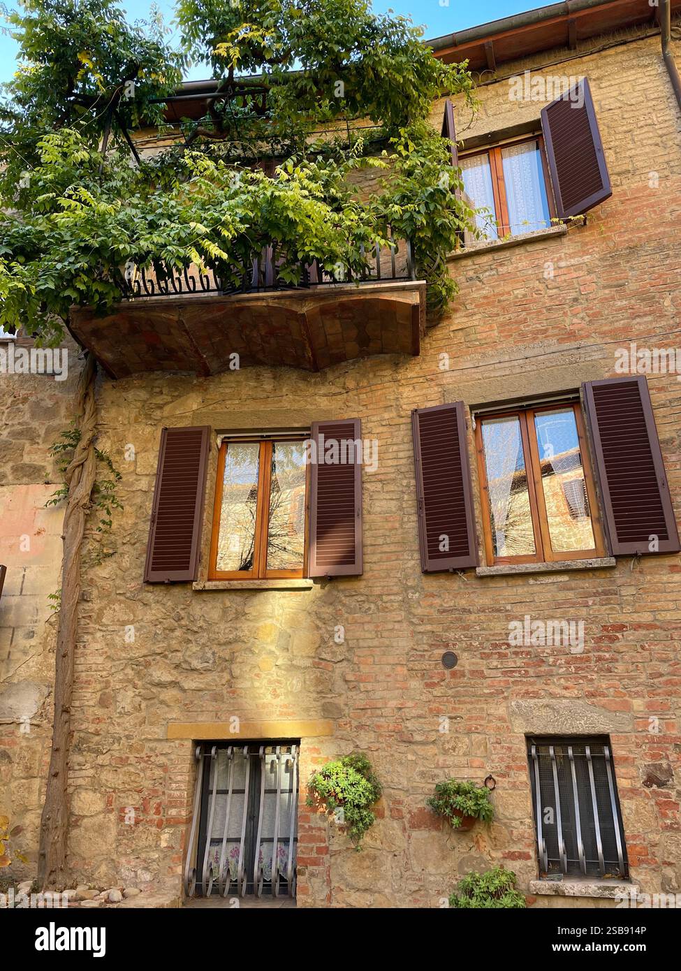 Charming traditional stone houses in the medieval village of Monticchiello, Italy. Large plant growing on a balcony. - Smartphone Captured Stock Image