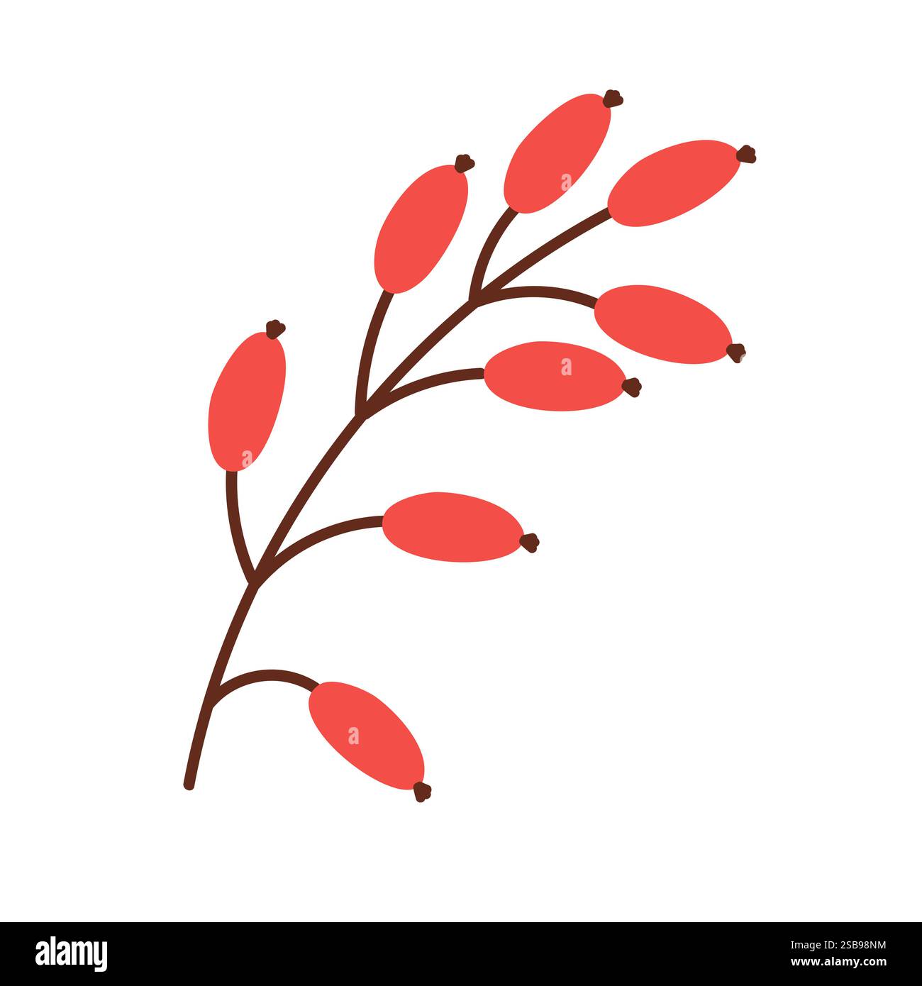 Cartoon drawing of branch with leaves isolated on white background.  Stock Vector