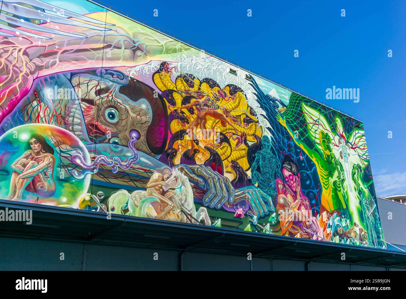 linz, austria, 01 feb 2025, giant mural created by nychos in the ...