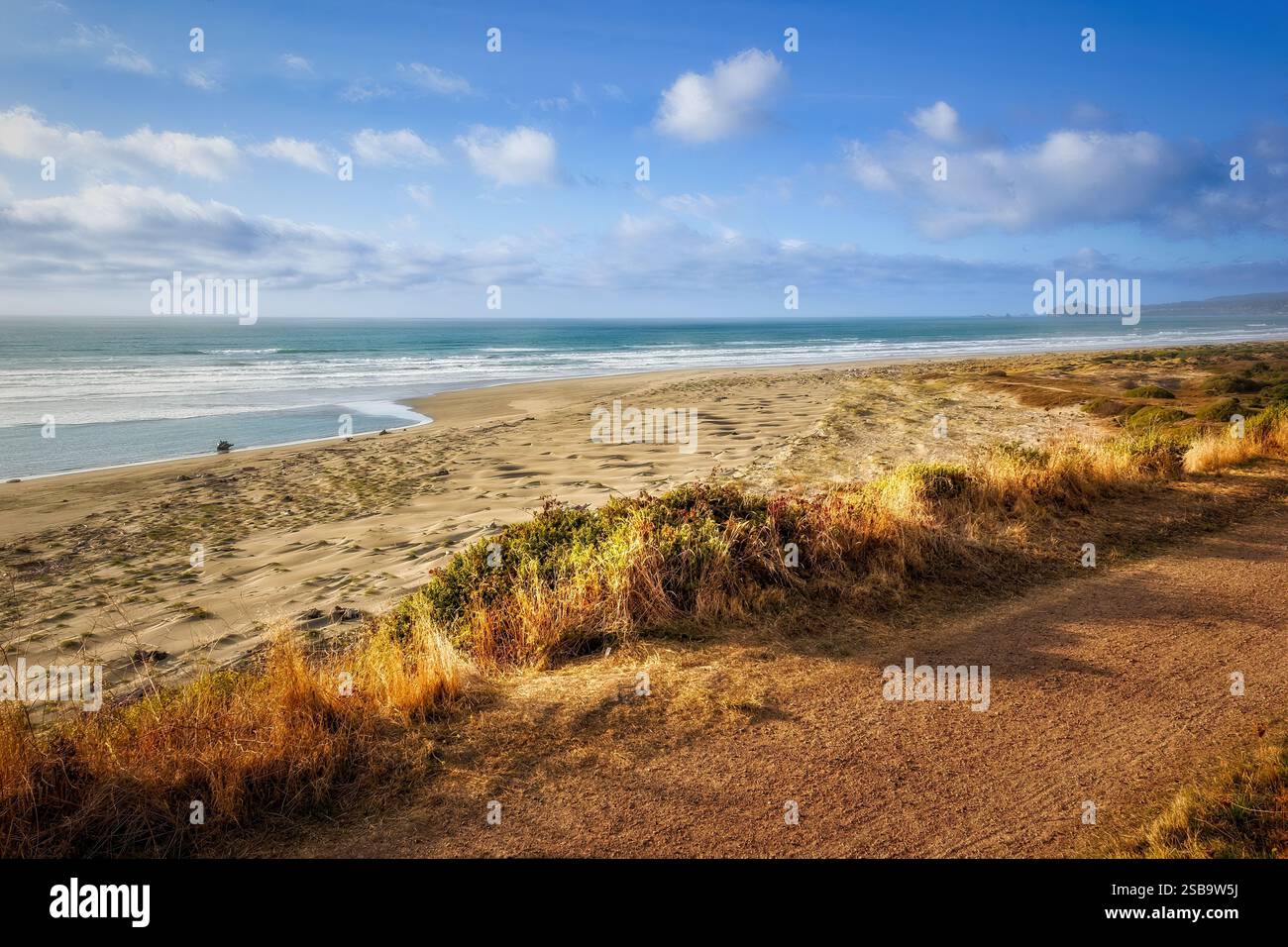 Blue sky over a golden sand beach in California Stock Photo