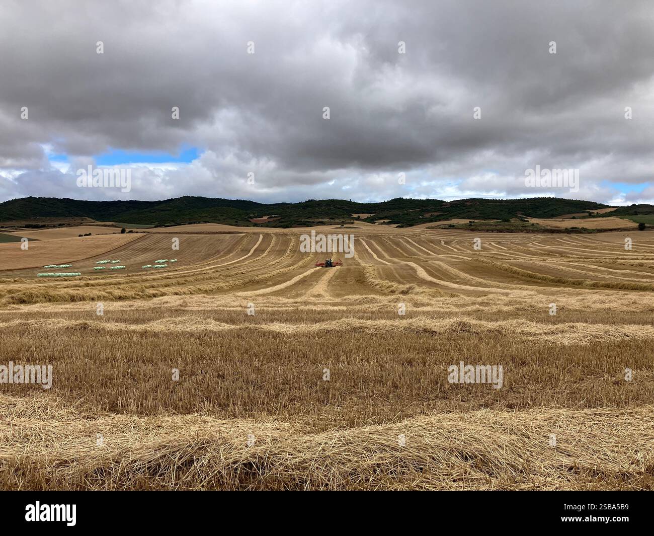 Tractor Harvesting a Large Field of Wheat in Navarre, Spain - Smartphone Captured Stock Image