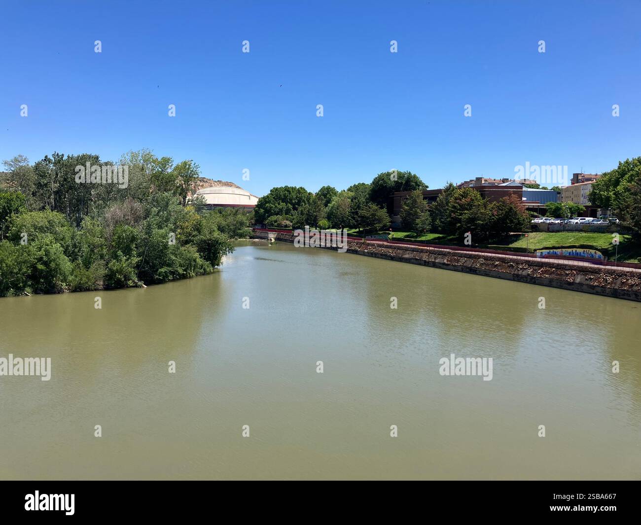Walking through the Vineyards of La Rioja. One of the Most Presttigious Wine Making Regions in the World Known for Tempranillo-based Red Wines. - Smartphone Captured Stock Image