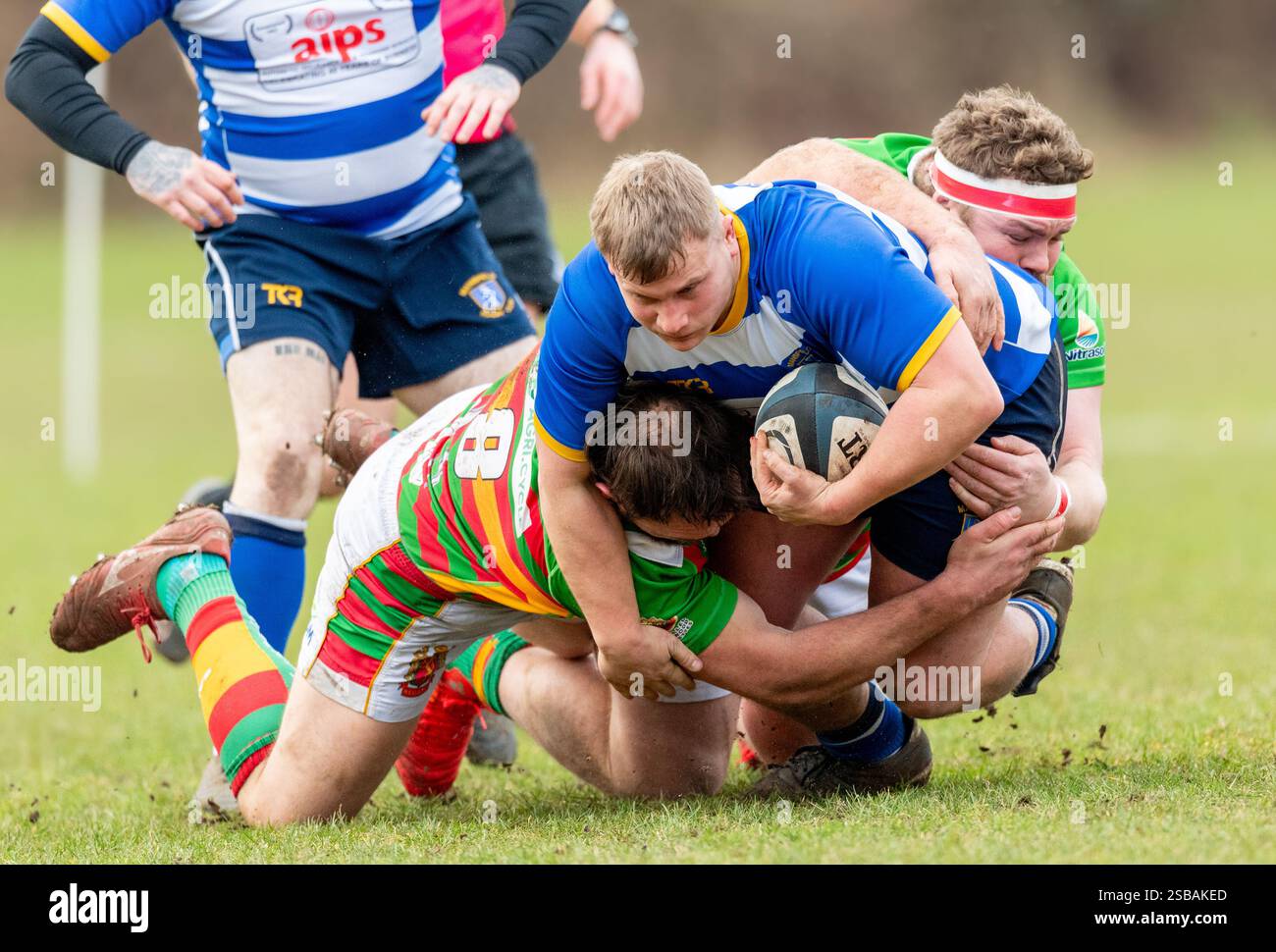 English mens amateur Rugby Union players playing in a league game Stock ...