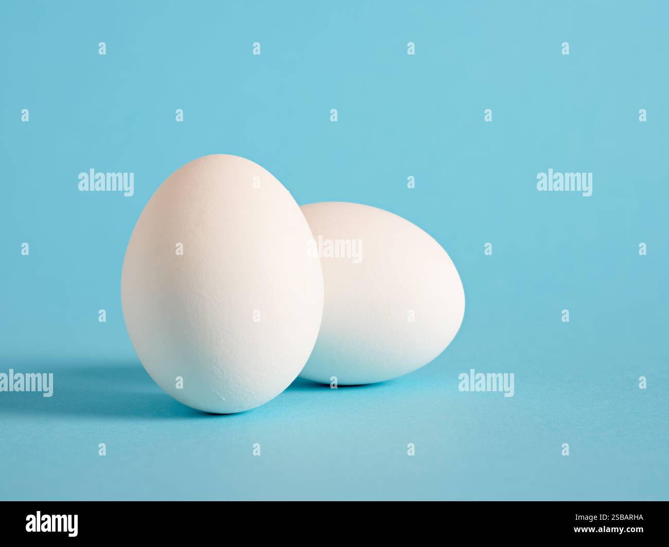 White eggs on blue background. Stock Photo