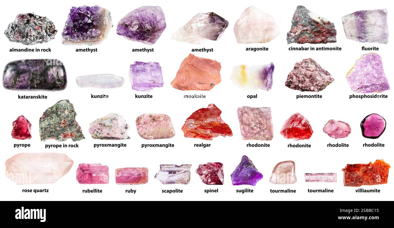 collection of rough pink minerals with names isolated on white ...