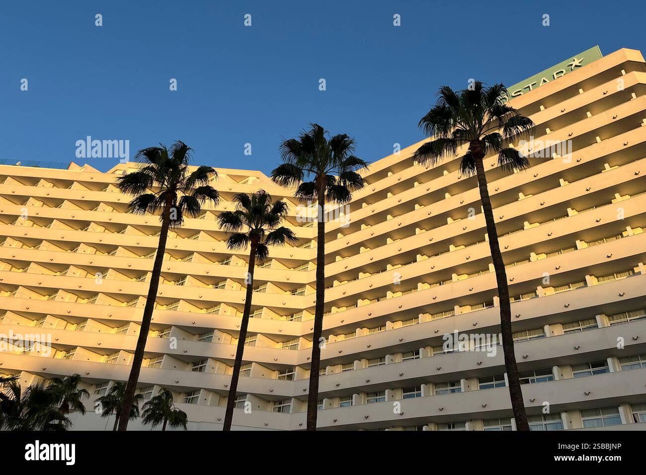Tall Palm Trees in front of the Iberostar Waves Bouganville Playa Hotel. Costa Adeje, Tenerife, Canary Islands, Spain. 14th January 2025. - Smartphone Captured Stock Image