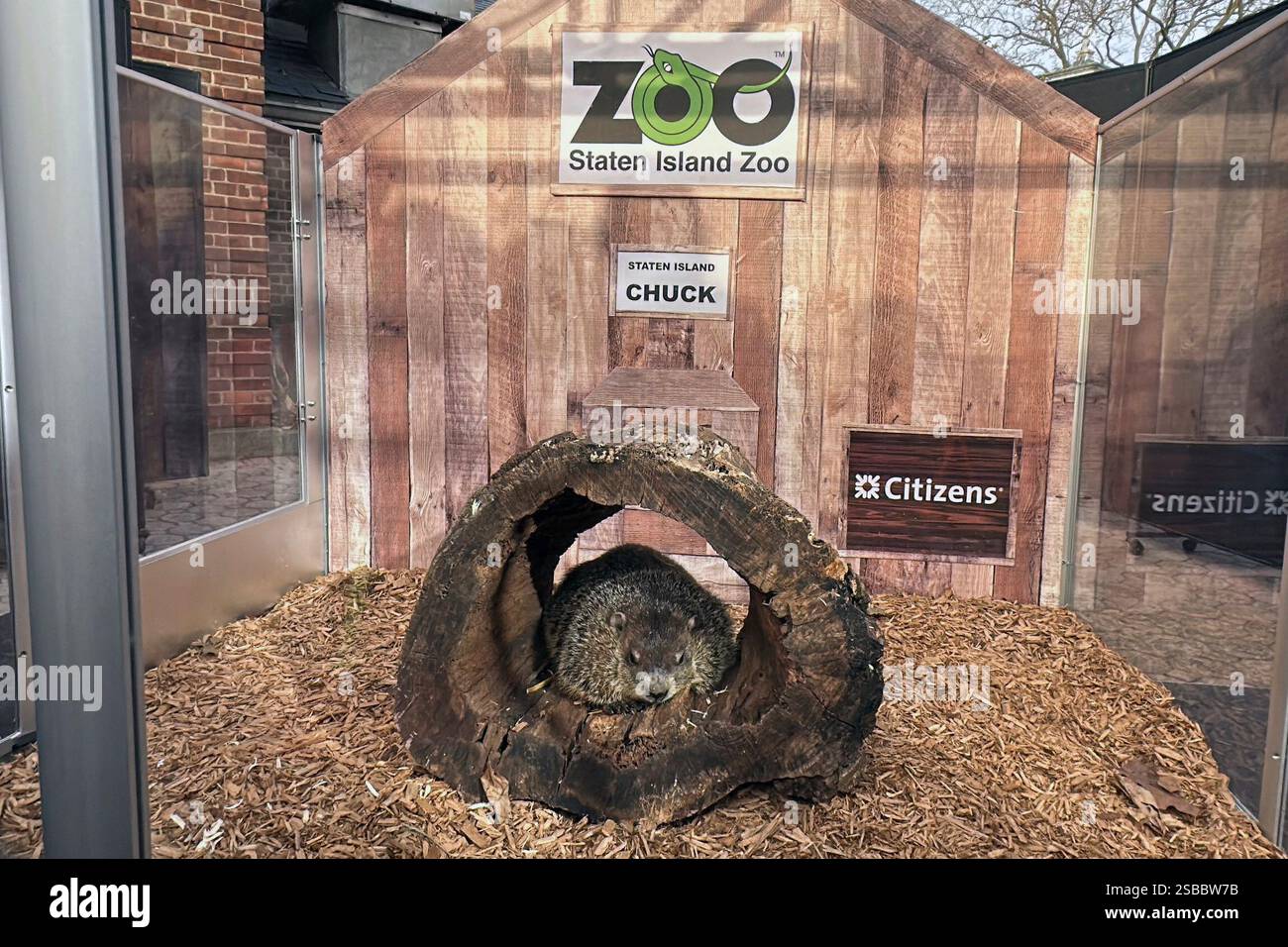 Staten Island Chuck, the groundhog whose handlers claim has predicted