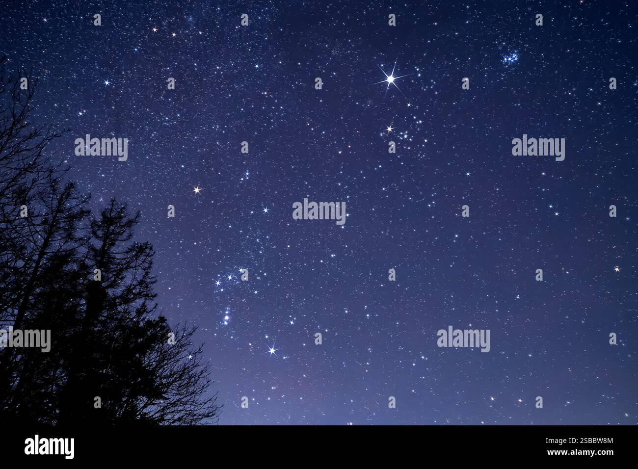 Starry sky over lake hi-res stock photography and images - Alamy