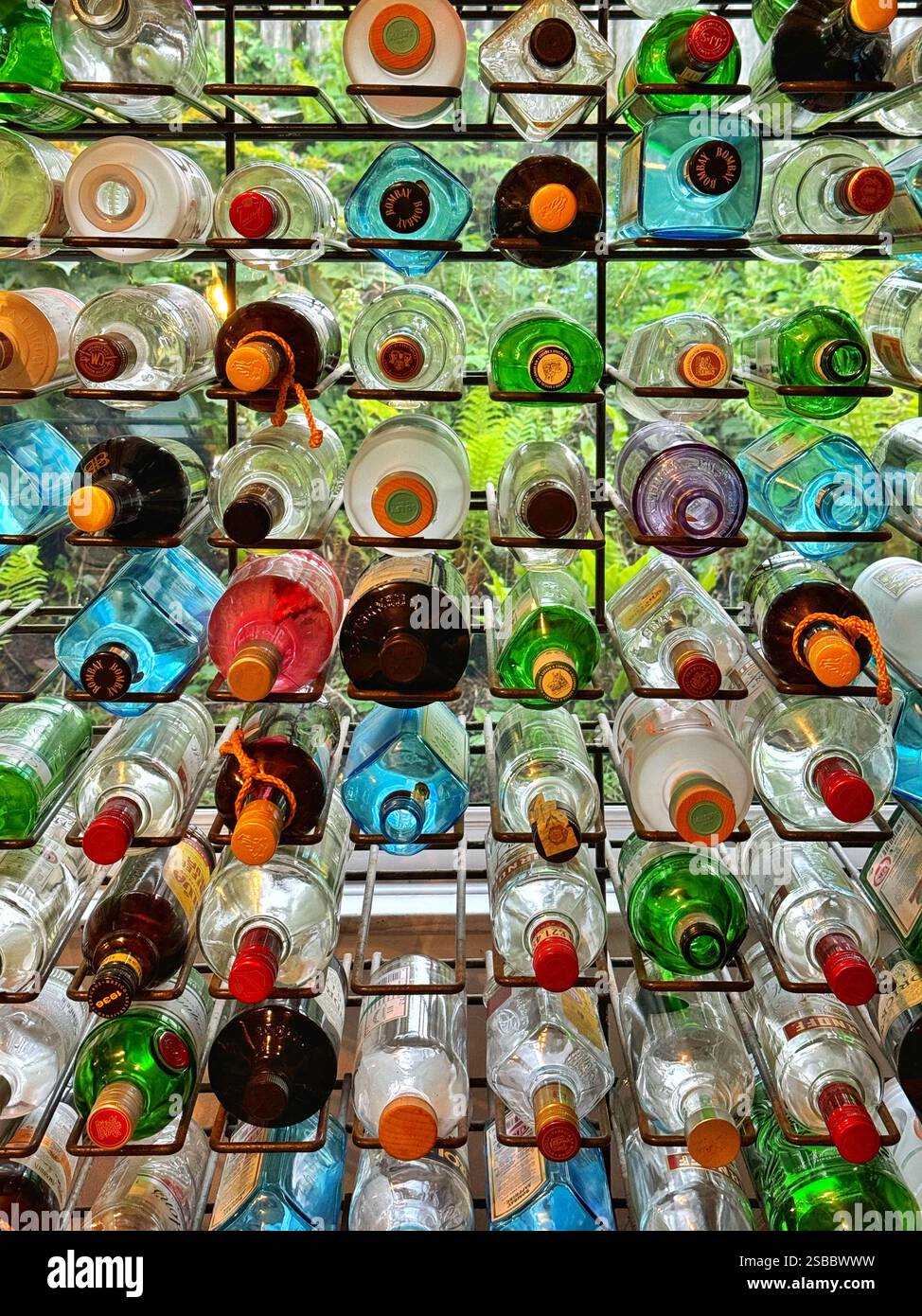 Rack of old colourful bottles in a restaurant, backlit by a window. - Smartphone Captured Stock Image