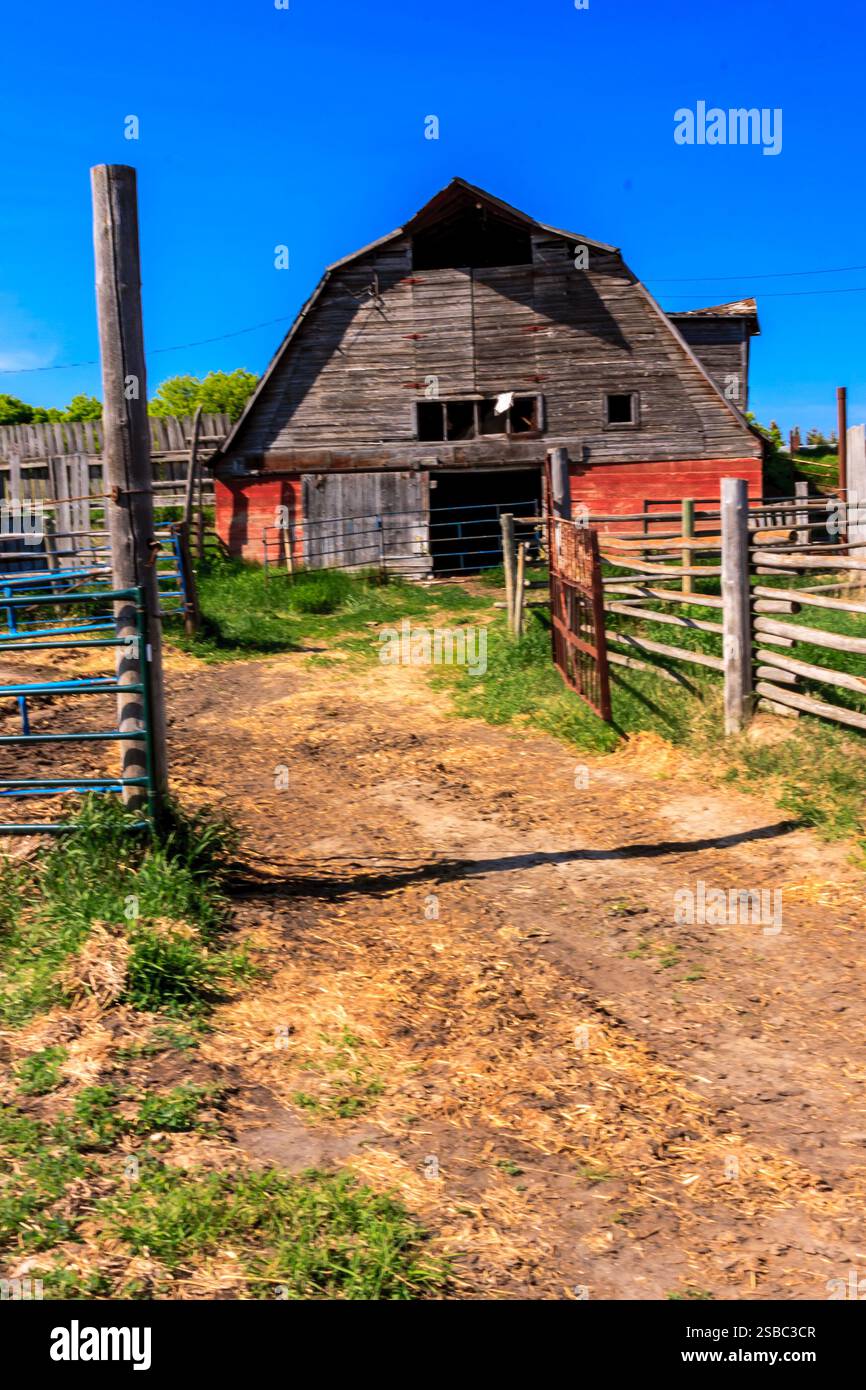 A red barn with a white roof sits in a field. The barn is surrounded by ...