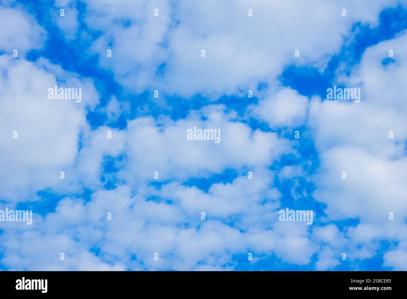 A stunning view of a clear blue sky adorned with soft, fluffy white ...