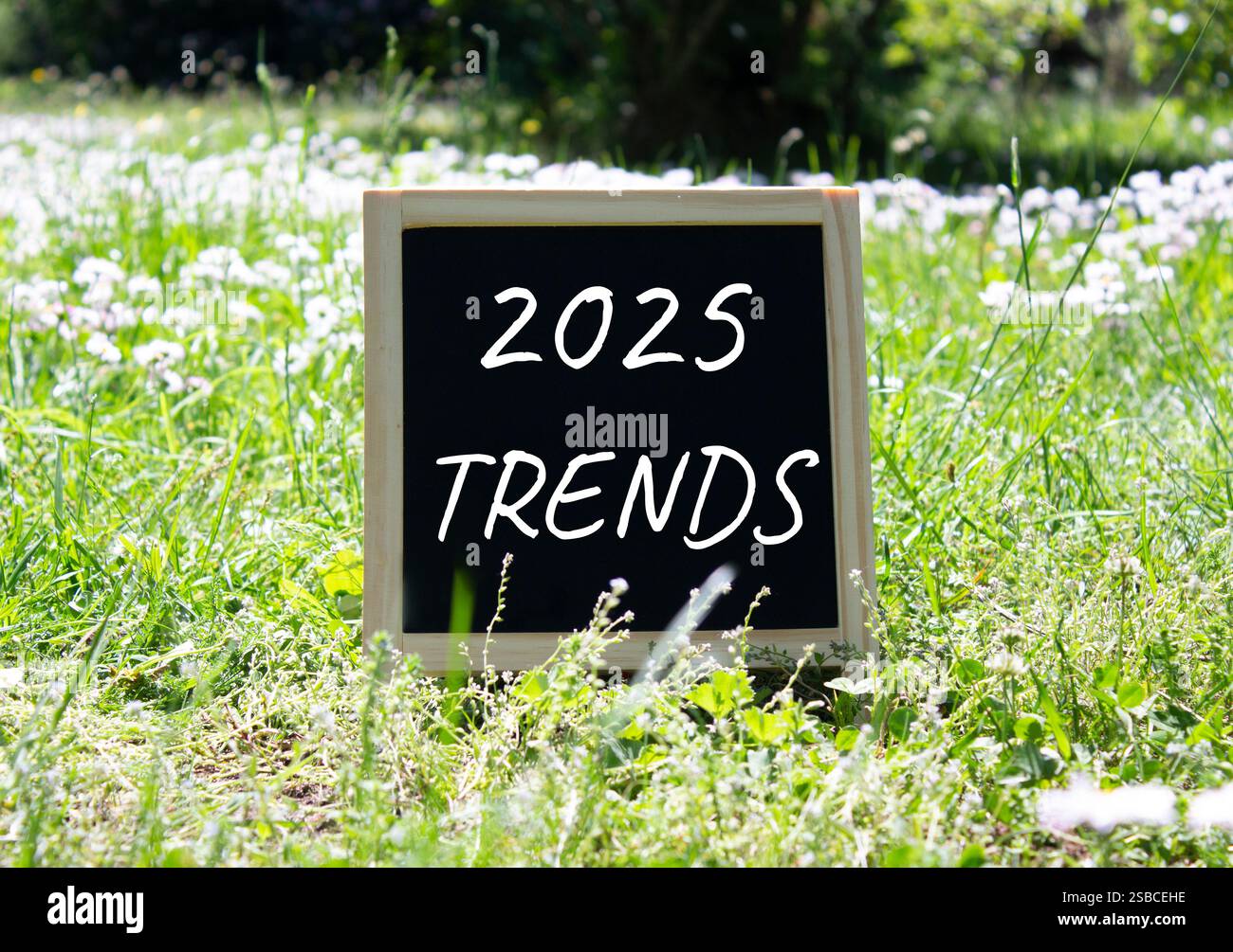 2025 Trends symbol. Blackboard with words 2025 Trends. Beautiful meadow