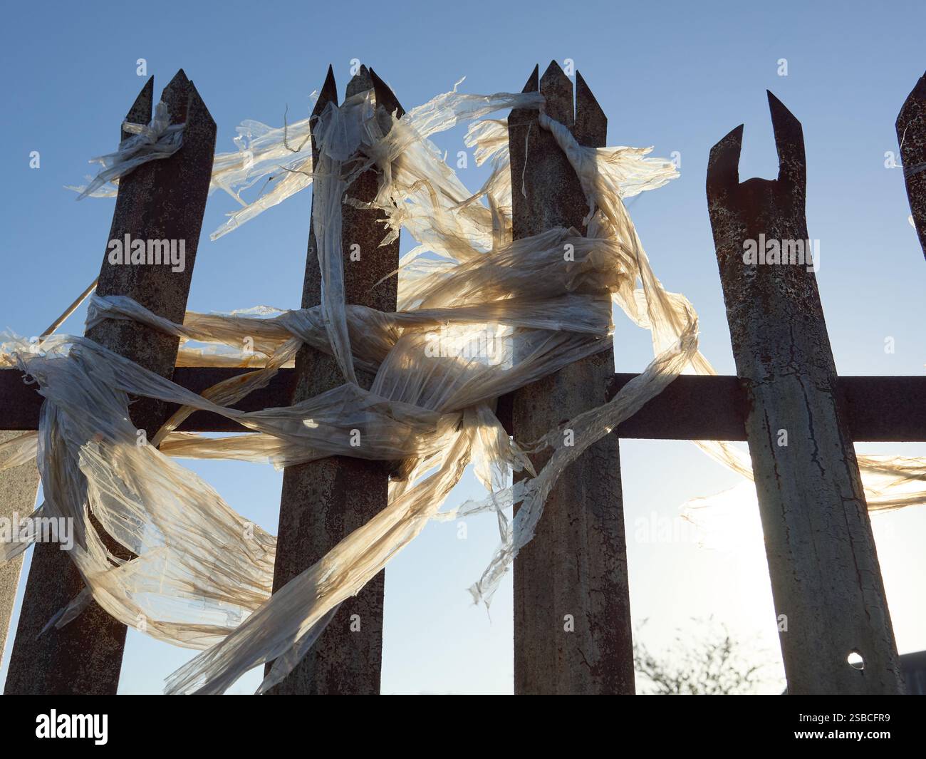 Tattered plastic wraps around rusty metal fence under a clear blue sky. Stock Photo